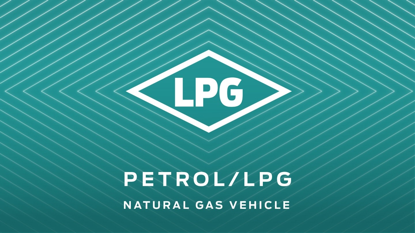 LPG icon