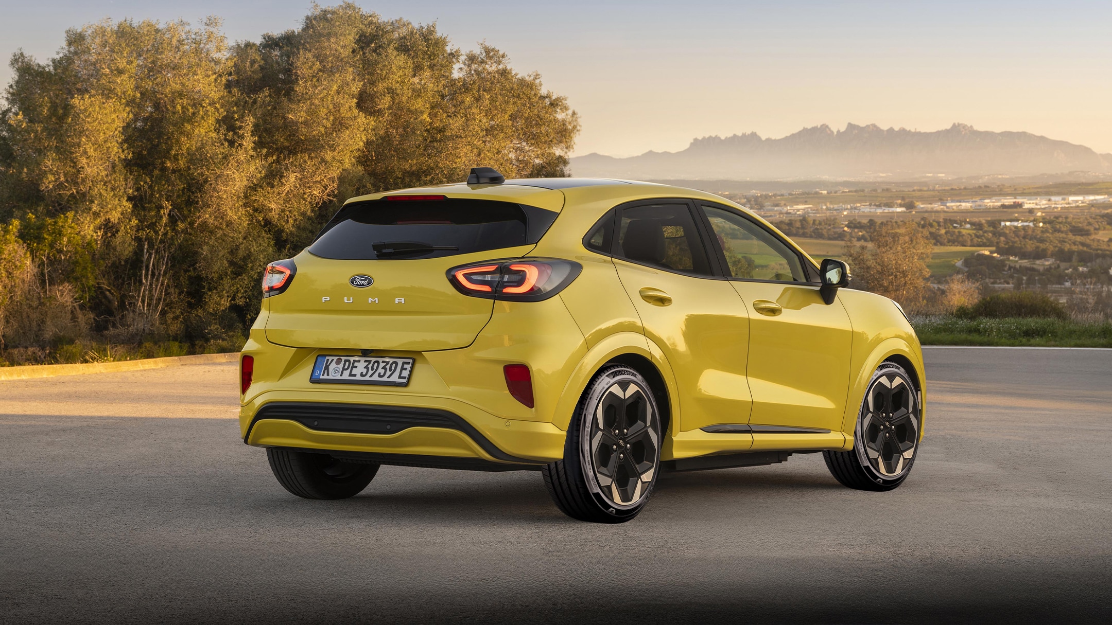 Puma gialla in primo piano 3/4 posteriore.