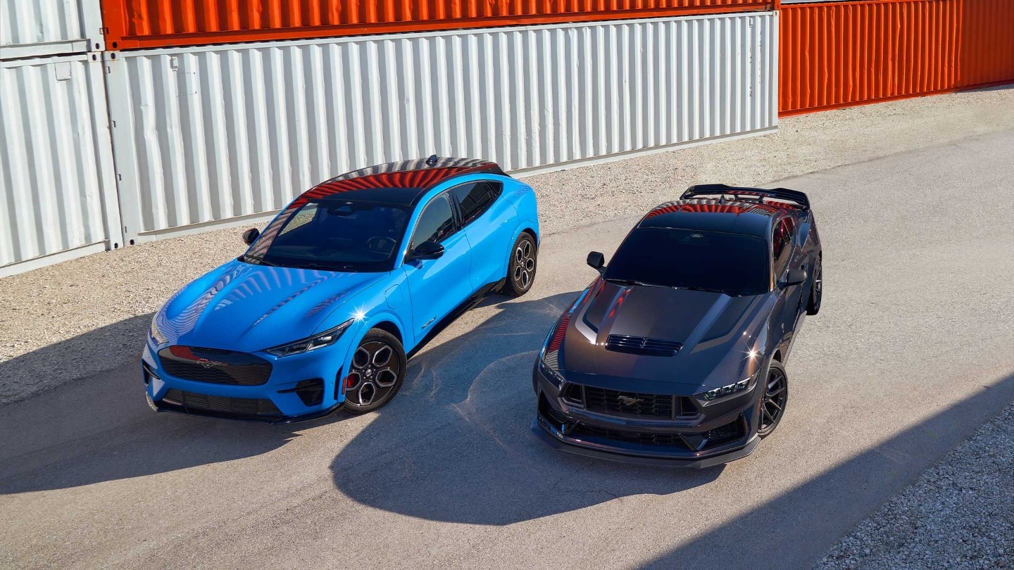 Ford New Mustangs blue and black