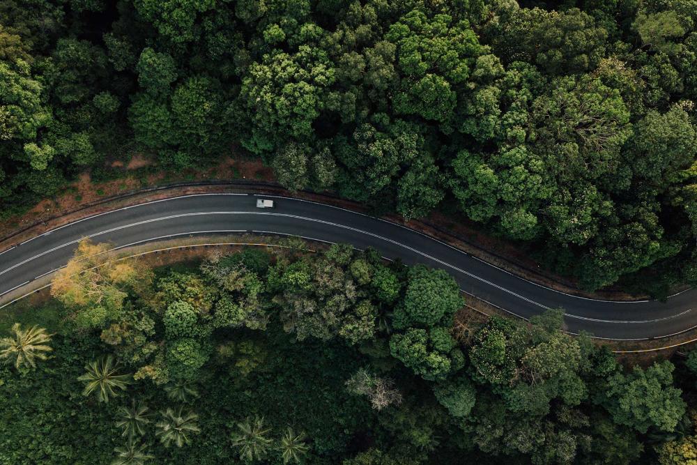 Una vista aerea di un veicolo elettrico Ford che percorre una tortuosa strada forestale.