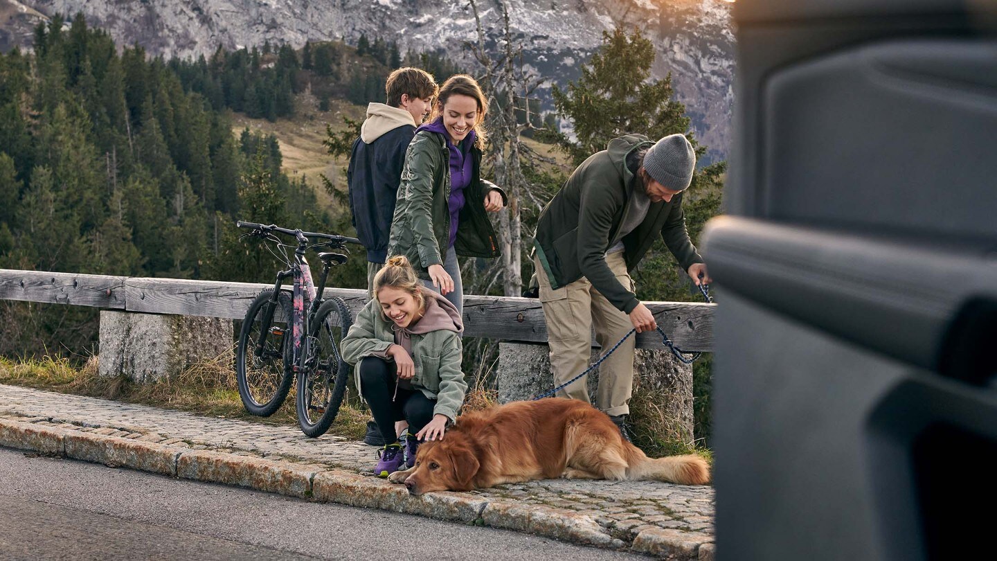 Family and dog on mountain road