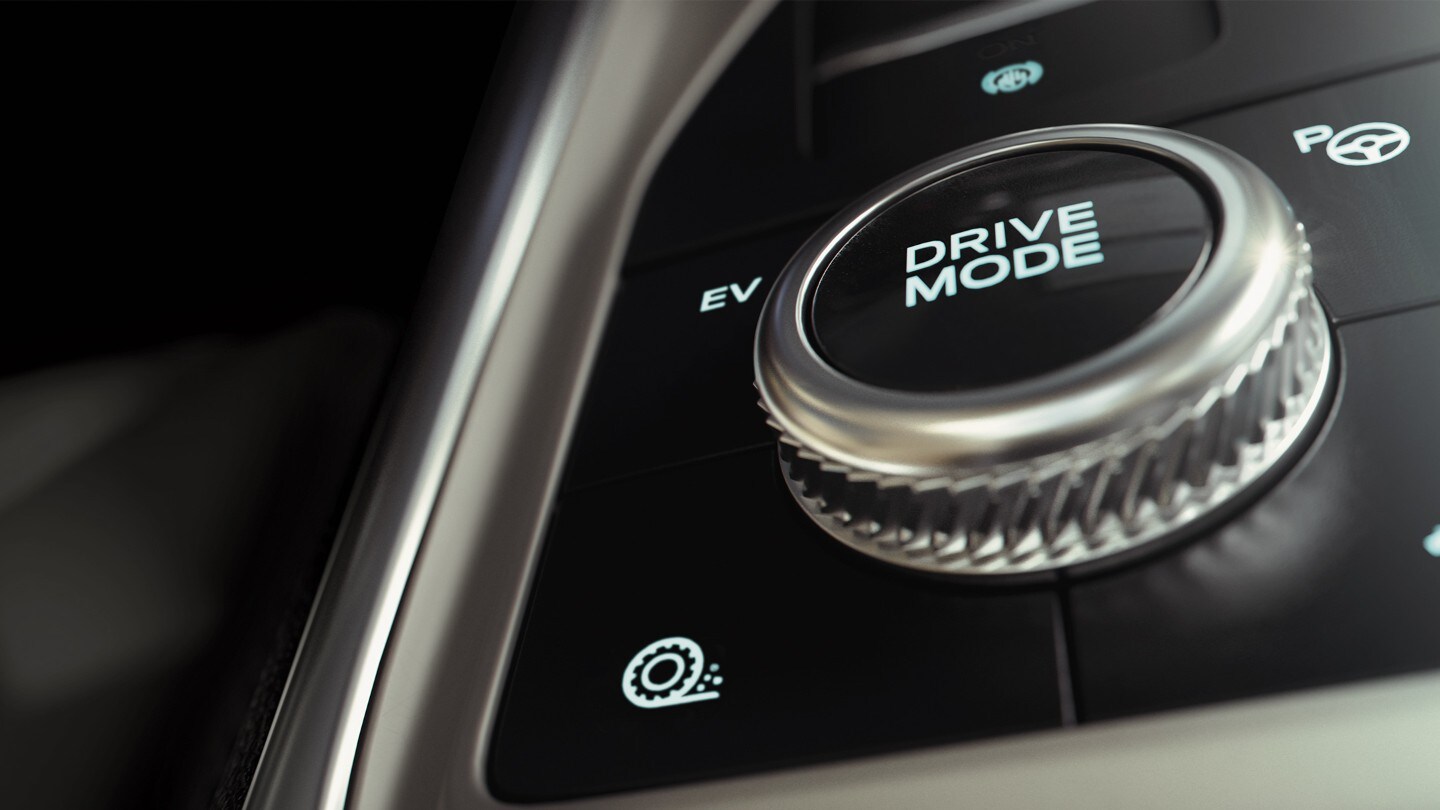 Selettore rotativo e--shifter