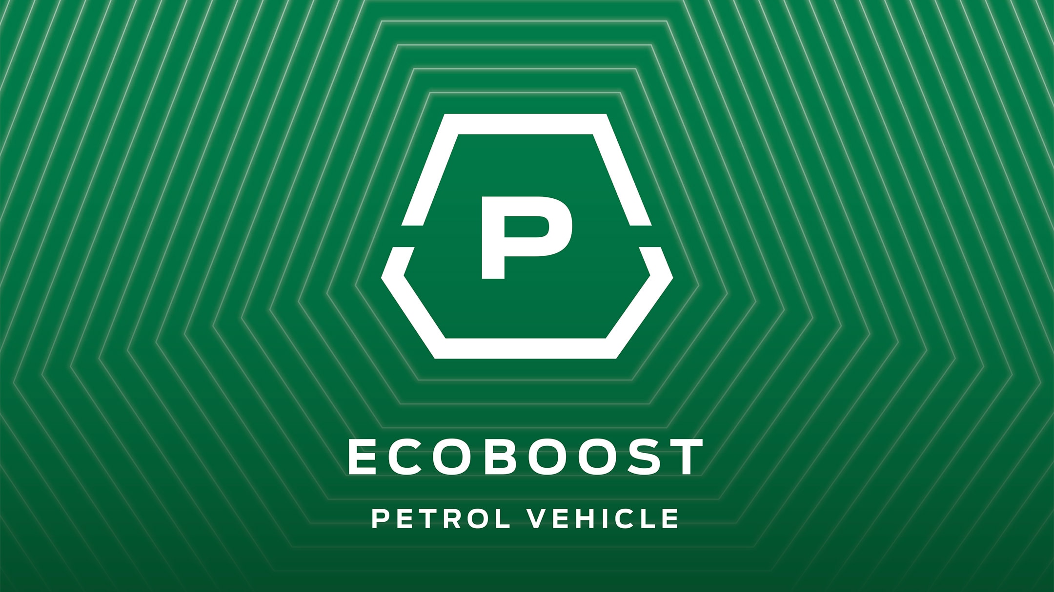 Ecoblue Petrol
