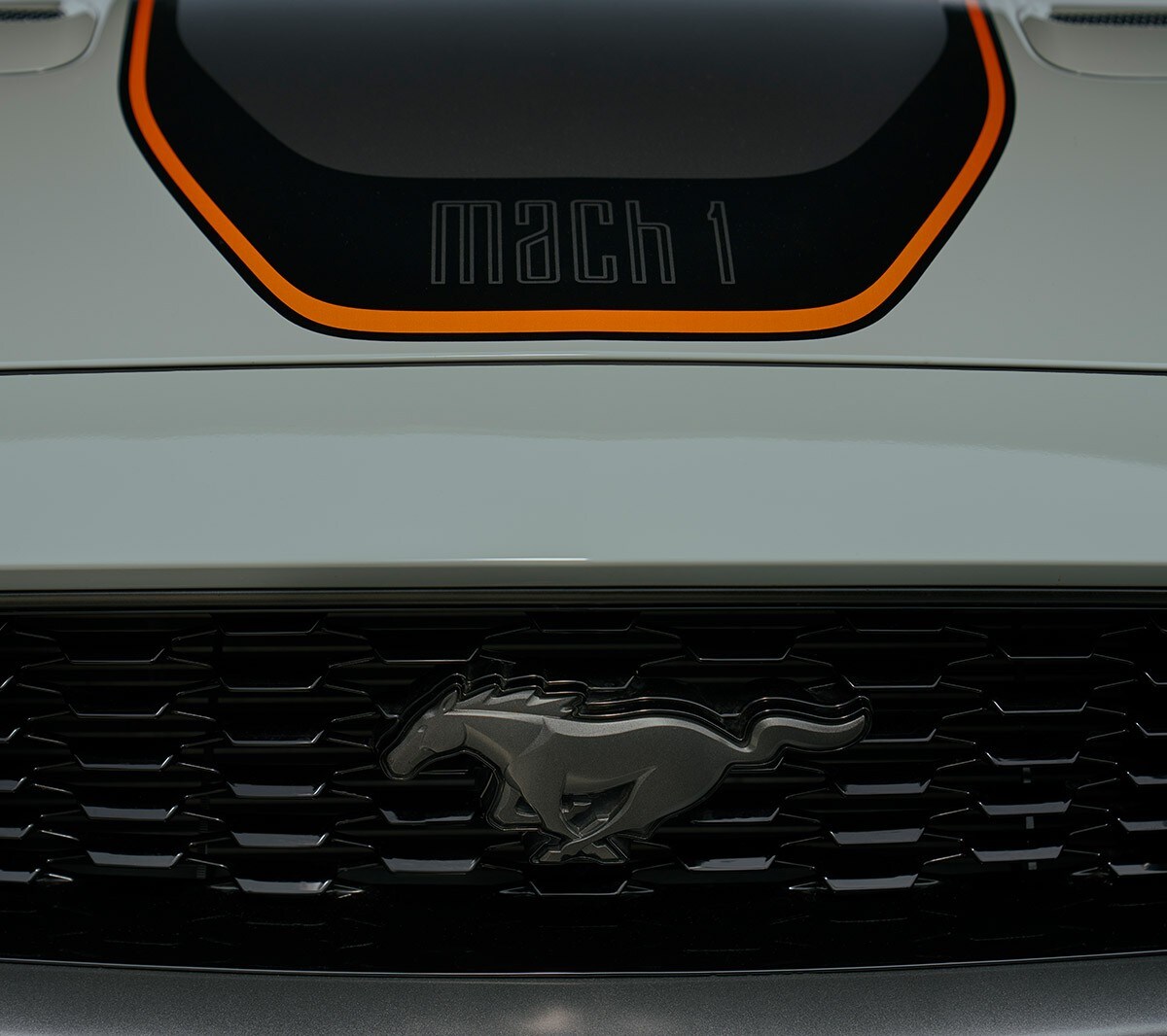 Ford Mustang Mach 1 vista della grigia frontale