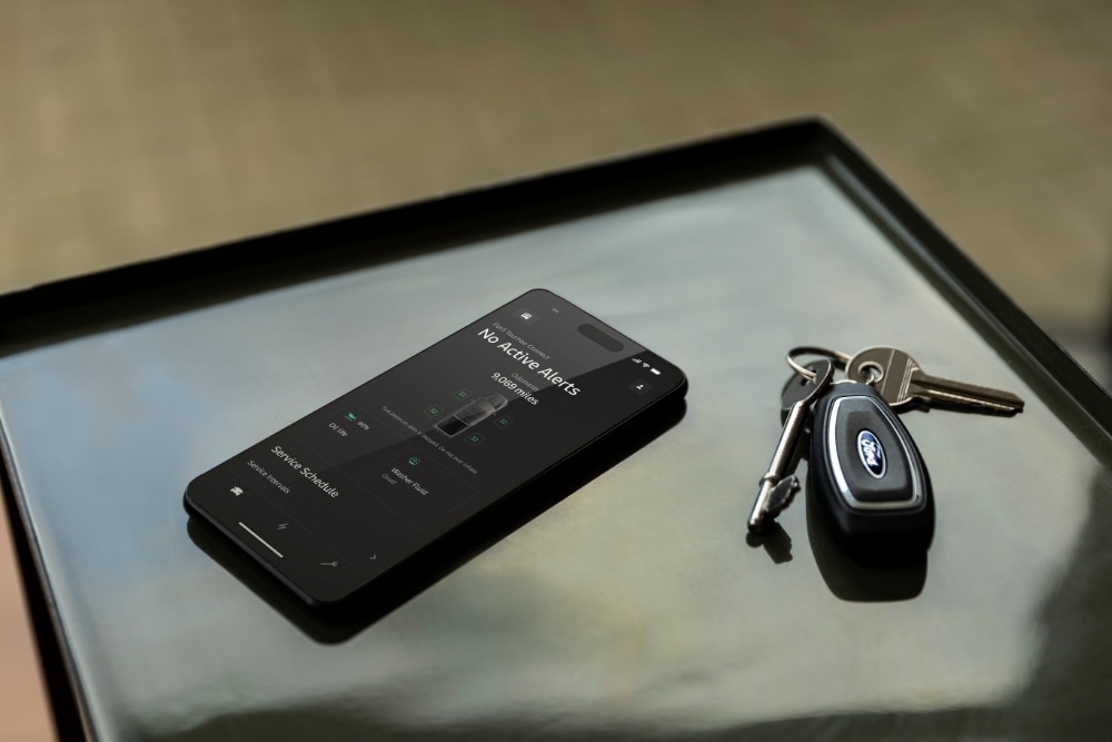Una persona utilizza lo strumento del sito Ford EV Life sul proprio smartphone.