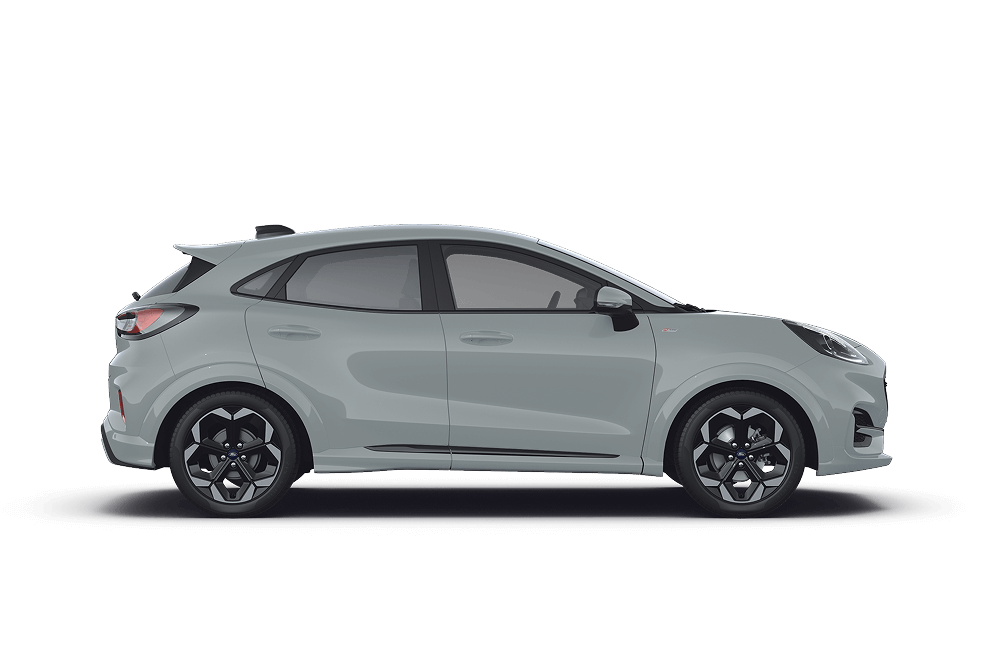 Profilo laterale di un Puma