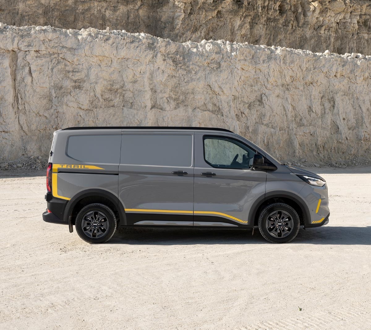 Ford custom van store trend