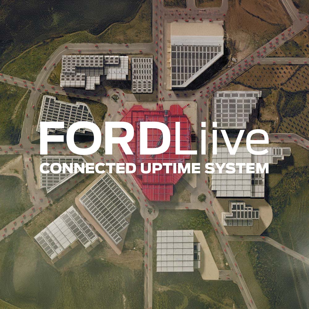 Grafica FordLiive