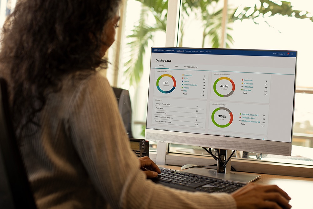 Donna che visualizza i dati del suo dashboard telematico Ford sul suo computer desktop.
